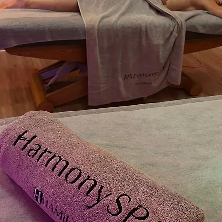 Hamilton & Wellness ホテル シフィノウイシチェ